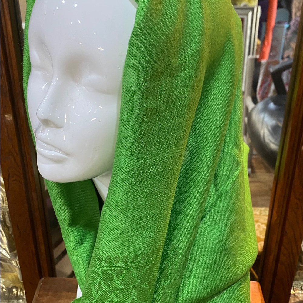Green Pashmina Women's Luxury Pashmina Shawl 68 x 27 NWOTs - Picture 2 of 3